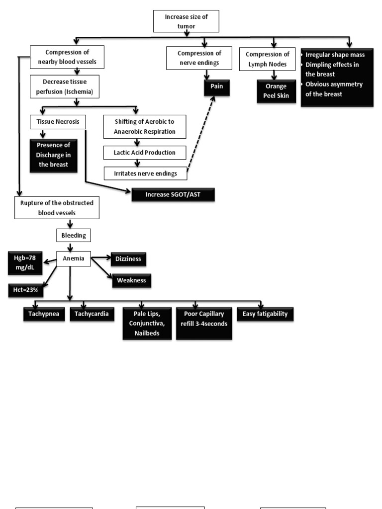 Breast Cancer Pathophysiology Overview | PDF | Neoplasms | Cancer