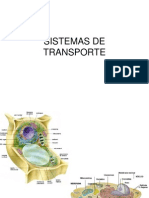 Sistemas de Transporte