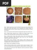 Download Cara Sederhana Membuat Hydroton by Verdi Yant SN166221365 doc pdf