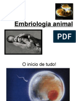 Embriologia MT