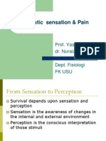 Somatic Sensation & Pain: Prof. Yasmeiny Yazir Dr. Nuraiza Meutia