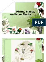 Plants and More