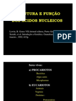 1) Estrutura Funcao Acidos Nucleicos 2 (Modo de Compatibilidade)