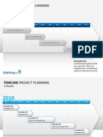 Timeline Project Planning: 12 Months