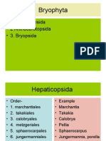 Bryophyta: - 1. Hepaticopsida - 2 Anthocerotopsida - 3. Bryopsida