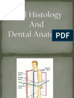 Oral Histology