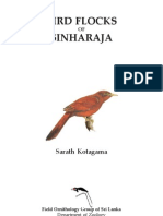 Birds Flocks of Sinharaja