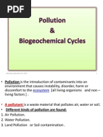 4. Pollution