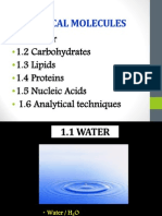 1.1 Water