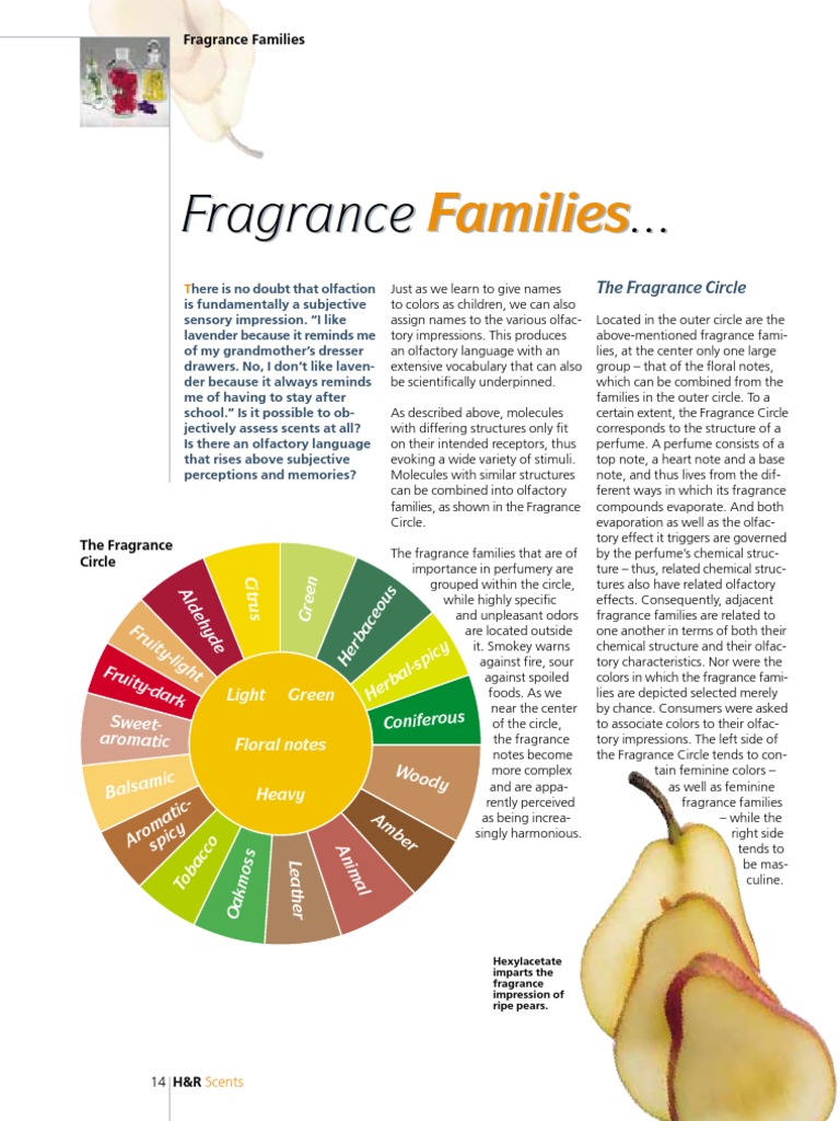 Fragrance Families Perfume Odor
