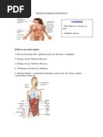 Sintese Aparelho Digestivo