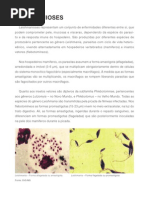 6365 Crmv-pr Manual-zoonoses Leishmanioses