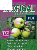 Revista Hofigal Nr 19