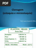 Clonagem (Estaquia e Miniestaquia)