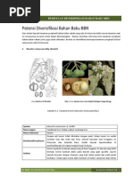 Download Draft Buku Potensi Diversifikasi Bahan Baku BBN by David Budi Saputra SN166318361 doc pdf
