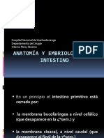 Anatomia y Embriologia Del Intestino