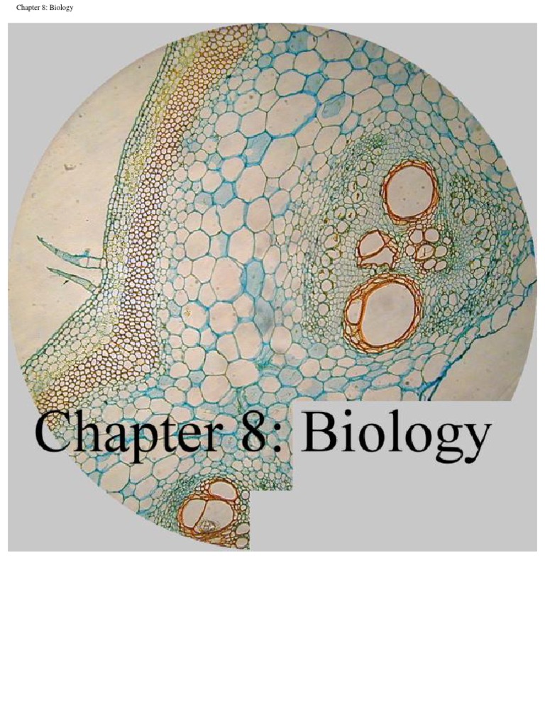 Photography through a microscope.pdf | Microscopy | Camera