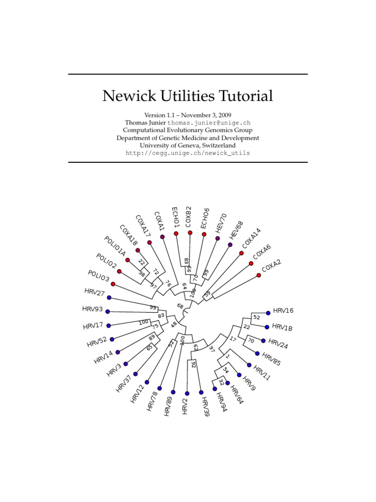Newick Utilities Overview and Guide | PDF | Hominidae | Ape