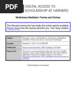 Mindfulness Meditation Frames and Choices-2013-46521719
