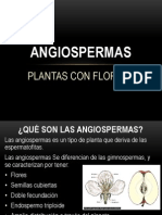 Angiospermas