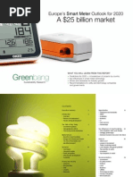 Smart Meter Outlook 2020