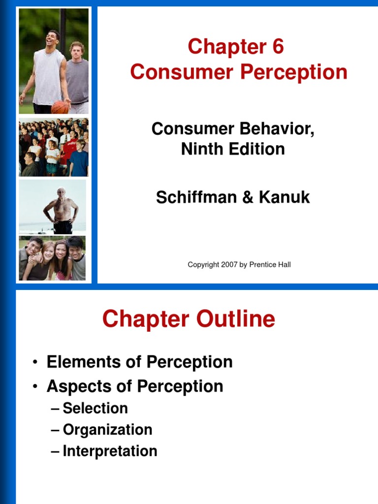 Chapter 6 - Consumer Perception | PDF | Perception | Stimulus (Physiology)