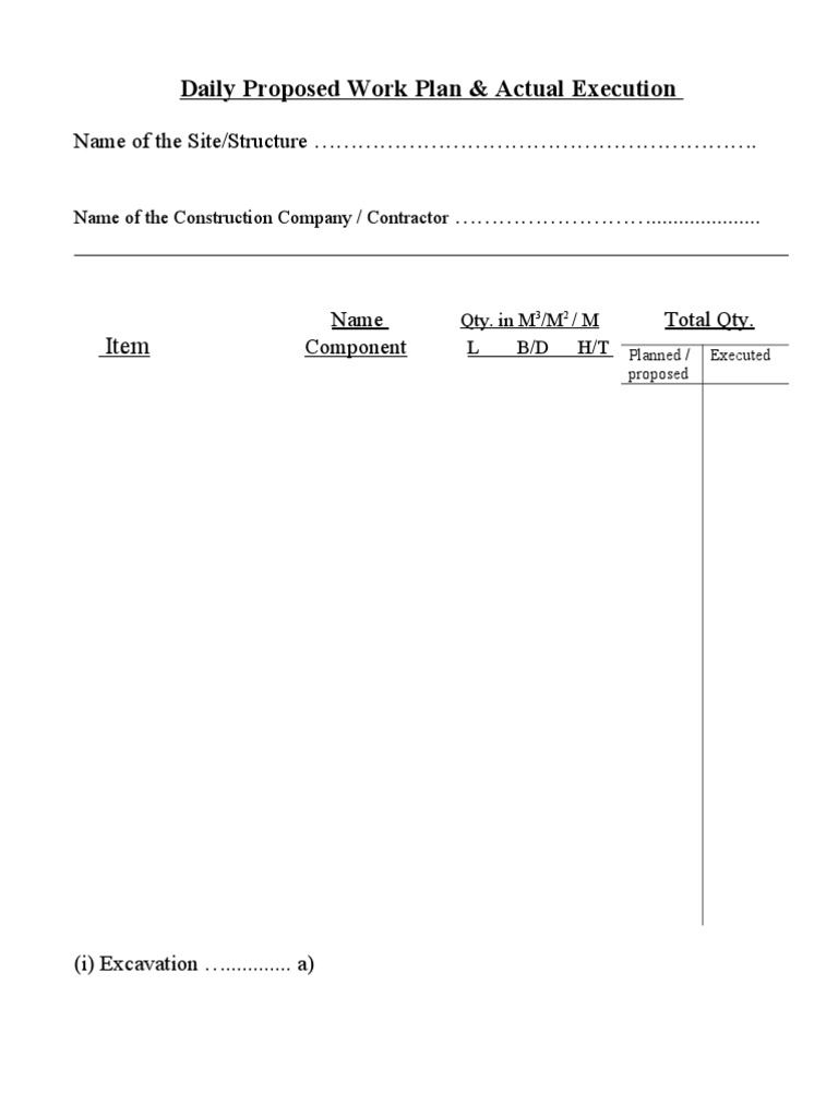 Daily Proposed Work Plan & Execution | PDF