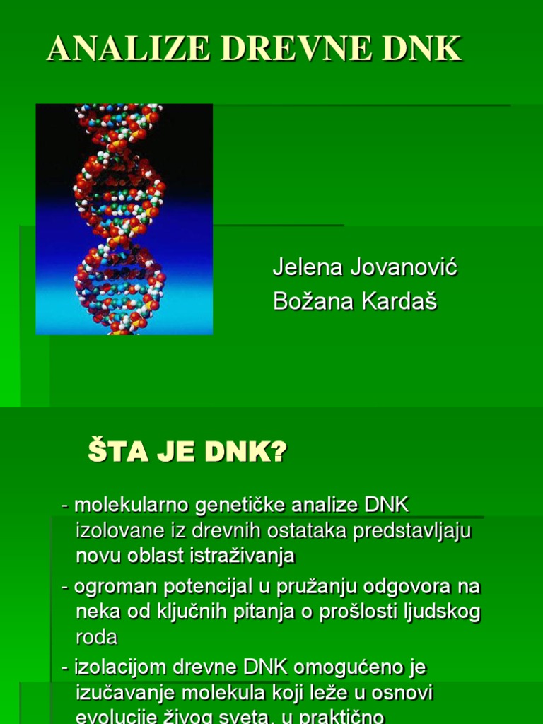 DNK Prezentacija | PDF