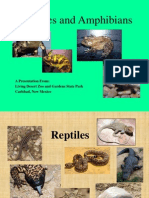 3 RD Grade Reptiles and Amphibians