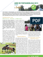 Letter 9 Great Week of Fontainebleau young horses final