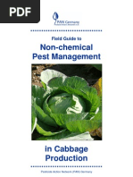 Field Guide to Non-chemical Pest Management in Cabbage Production