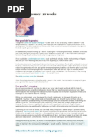 Download Your Pregnancy by transformers7 SN16649217 doc pdf