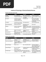 Muscle Origin, Insertion and Action Table | Foot | Knee
