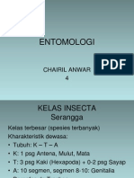 Matrik Ento4 Insecta
