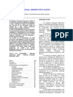 Revision - Sindrome Bronquial Obstructivo