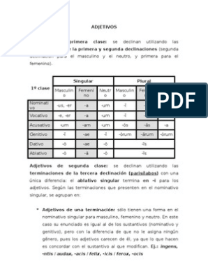 Latín Adjetivos | PDF | Adjetivo | Reglas