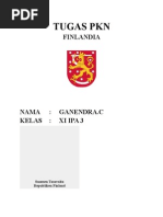 Download Finlandia by smith61 SN16651111 doc pdf