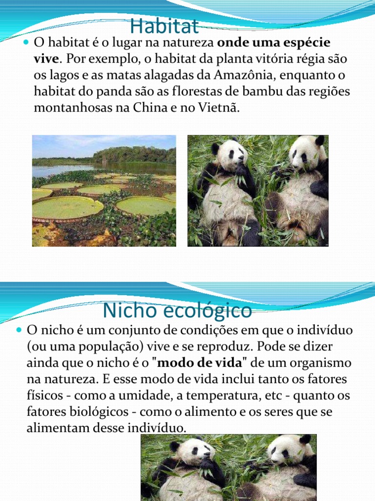 Exemplo De Ecologia De Nicho Ecologia No Enem: O Que Mais Cai,