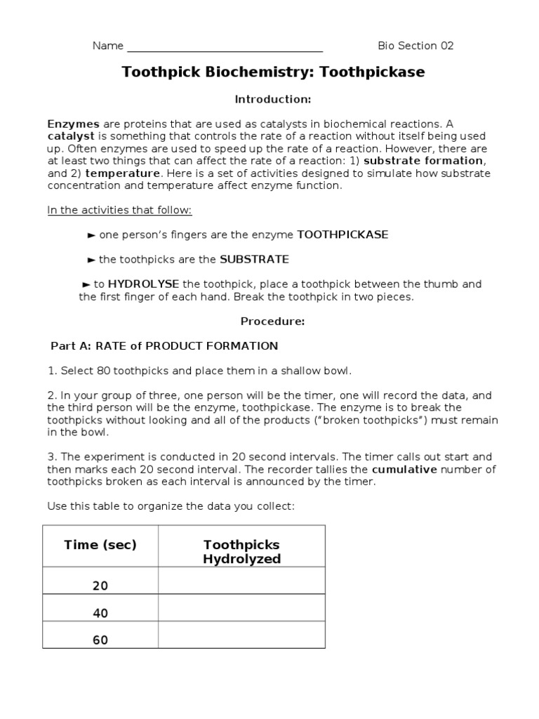 Toothpickase Activity Modeling Enzyme Action PDF Substrate