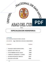 Especialización cerebral y funciones de los lóbulos