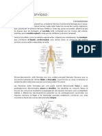 Sistema Nervioso Generalidades