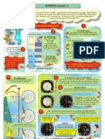 FP20-ALTI1-08.pdf