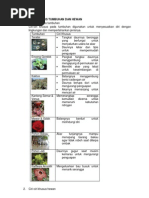 IPA - SD Kelas 6 BAB Ciri Khusus Tumbuhan & Hewan