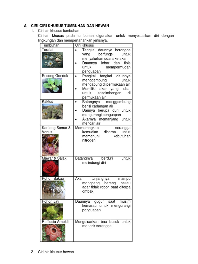 IPA SD Kelas 6 BAB Ciri Khusus Tumbuhan &amp; Hewan