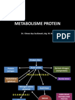 Metabolisme Protein (Autosaved)