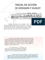 EL POTENCIAL DE ACCIÓN MODELO DE HODGKIN Y (2)