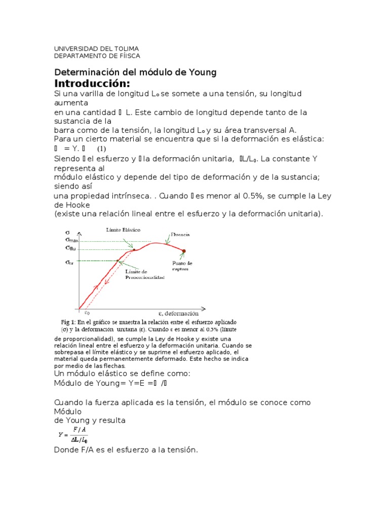 Determinación del Módulo de Young | PDF | El módulo de Young ...