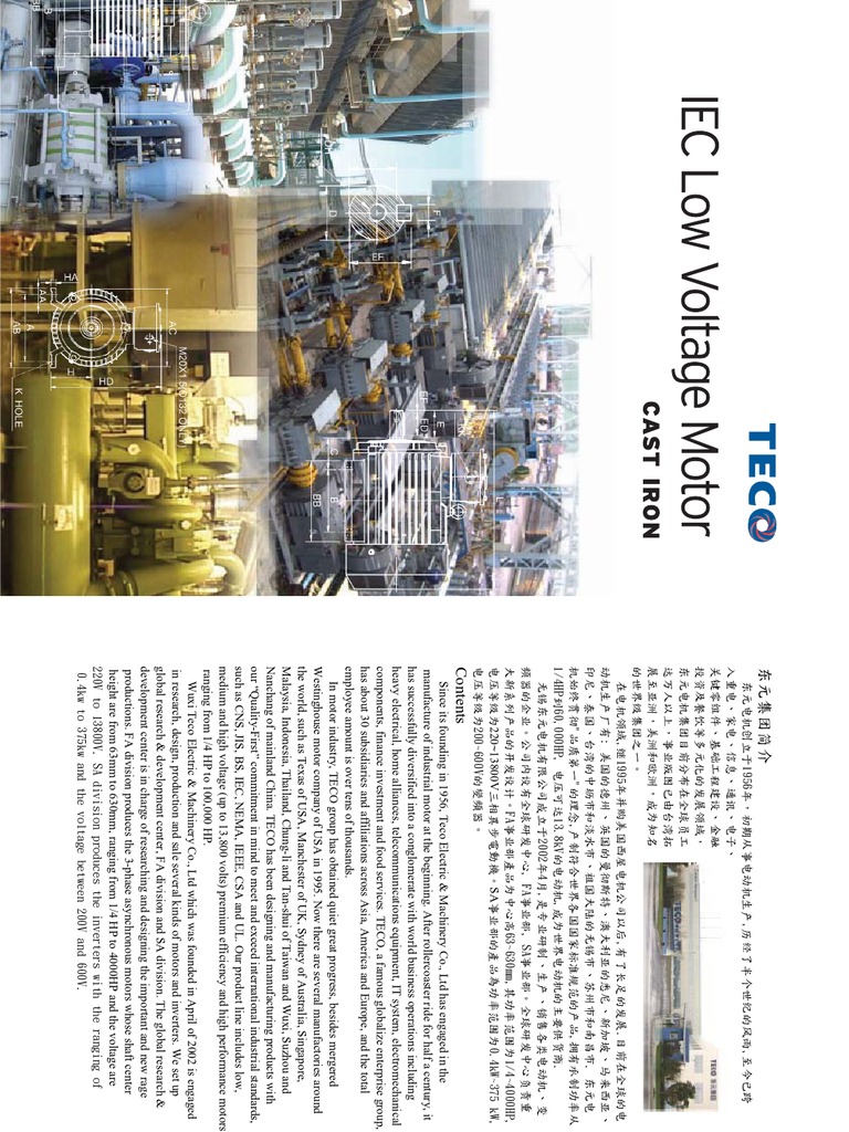 Teco Motor LowVolt AEEV | PDF | Power (Physics) | Physical Quantities
