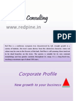 RedPine Corporate Profile