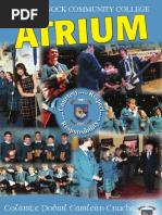 Download Castleknock Community College - Atrium 2013 by Castleknock Community College SN166649561 doc pdf